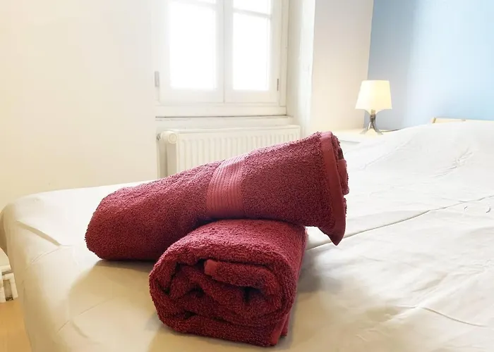 Duplex Le Coligny - Calme - Proche Centre Poitiers, Patinoire, Universite - Chu - Futuroscope A 20min Poitiers